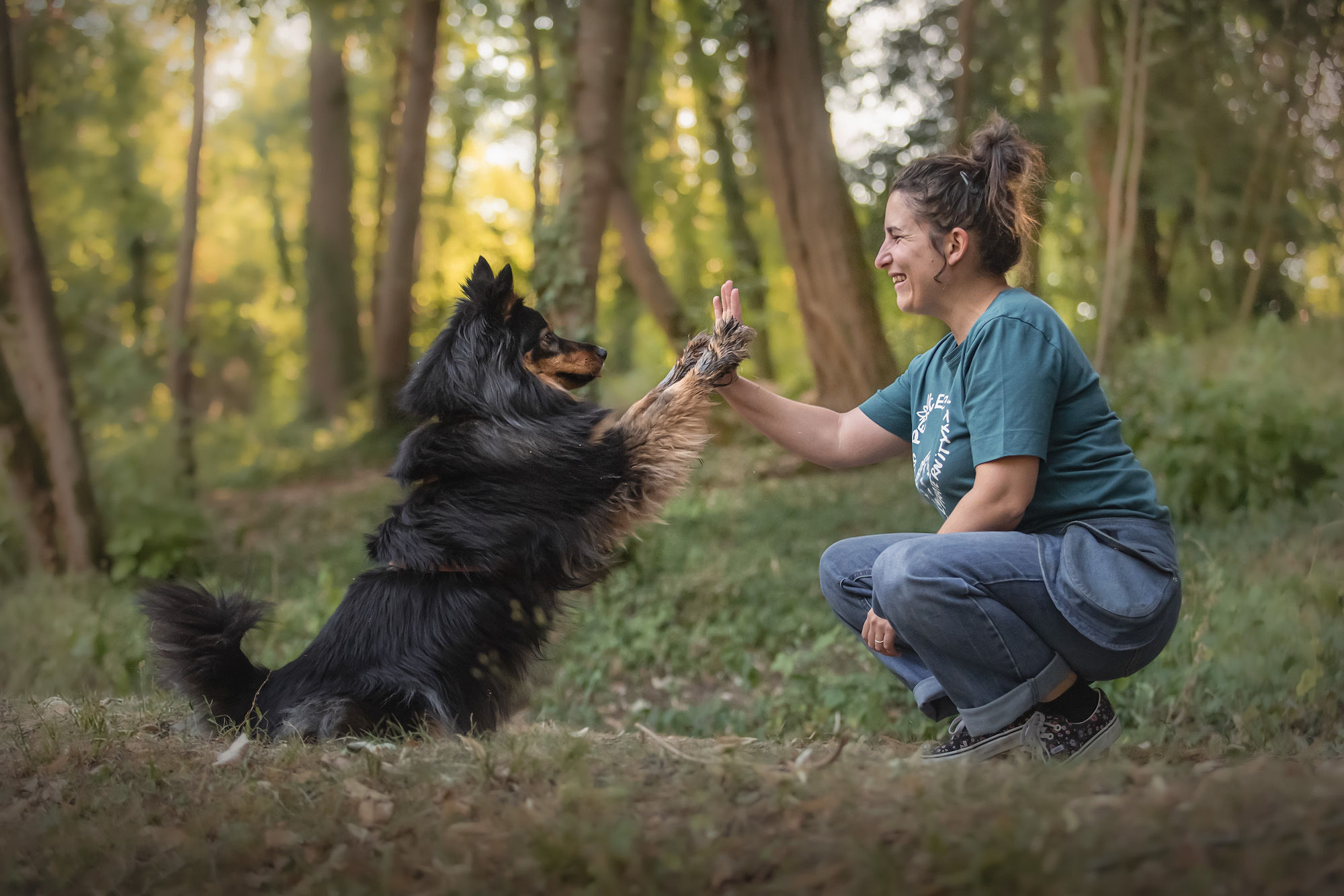 Travail d'éducation canine